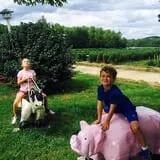 Beechwood Farms photo