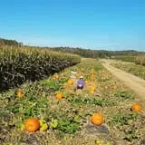 Beechwood Farms photo