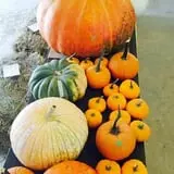 Beechwood Farms photo