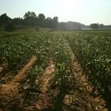 Beechwood Farms photo