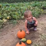 Beechwood Farms photo