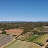 Beechwood Farms photo