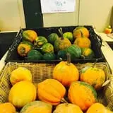Beechwood Farms photo