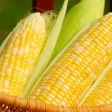 Beechwood Farms photo