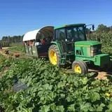 Beechwood Farms photo