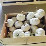 Beechwood Farms photo