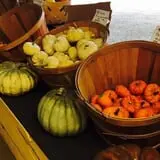 Beechwood Farms photo