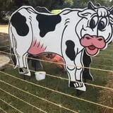 Beechwood Farms photo