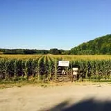 Beechwood Farms photo