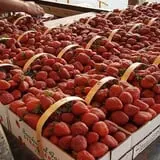 Beechwood Farms photo