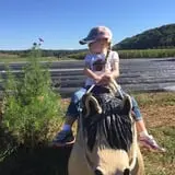 Beechwood Farms photo