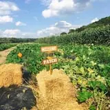 Beechwood Farms photo