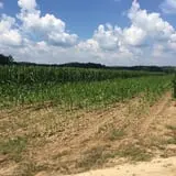 Beechwood Farms photo
