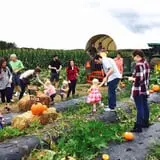 Beechwood Farms photo