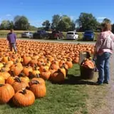 Ford Farm Market photo