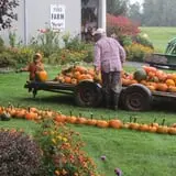 Ford Farm Market photo