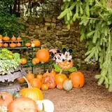 Ford Farm Market photo