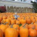 Ford Farm Market photo