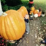 Ford Farm Market photo