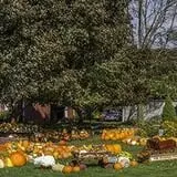 Ford Farm Market photo