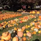 Ford Farm Market photo