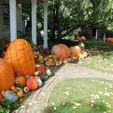 Ford Farm Market photo