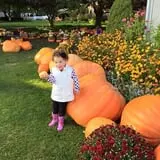 Ford Farm Market photo
