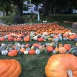 Ford Farm Market photo