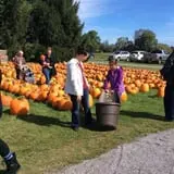 Ford Farm Market photo