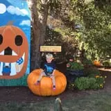 Ford Farm Market photo