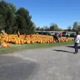 Ford Farm Market photo