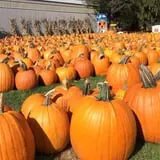 Ford Farm Market photo