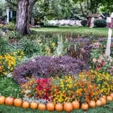 Ford Farm Market photo