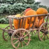 Ford Farm Market photo