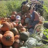 Ford Farm Market photo