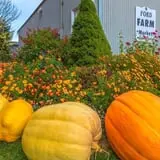 Ford Farm Market photo