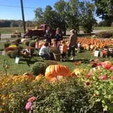 Ford Farm Market photo