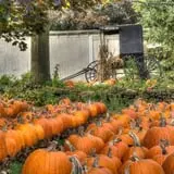 Ford Farm Market photo