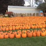 Ford Farm Market photo