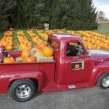 Ford Farm Market photo