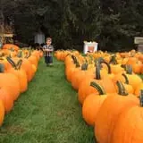 Ford Farm Market photo