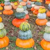 Ford Farm Market photo