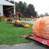 Ford Farm Market photo