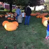 Ford Farm Market photo