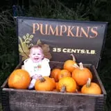 Ford Farm Market photo