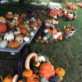 Ford Farm Market photo