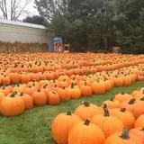 Ford Farm Market photo