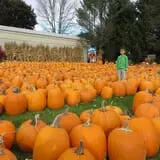 Ford Farm Market photo