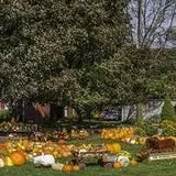 Ford Farm Market photo