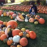 Ford Farm Market photo